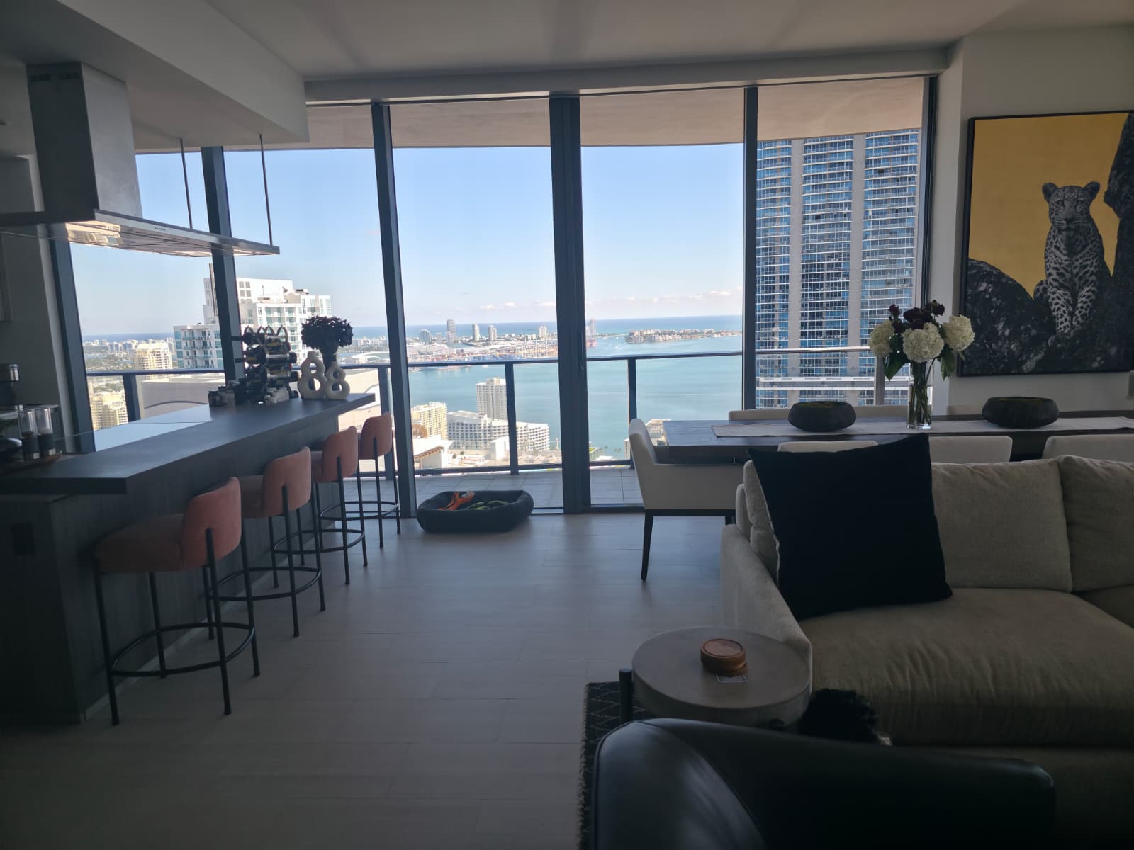 house cleaning services Miami